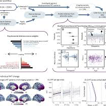 Brain plasticity illustration
